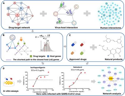 Network-Based Identification and Experimental Validation of Drug Candidates Toward SARS-CoV-2 via Targeting Virus–Host Interactome